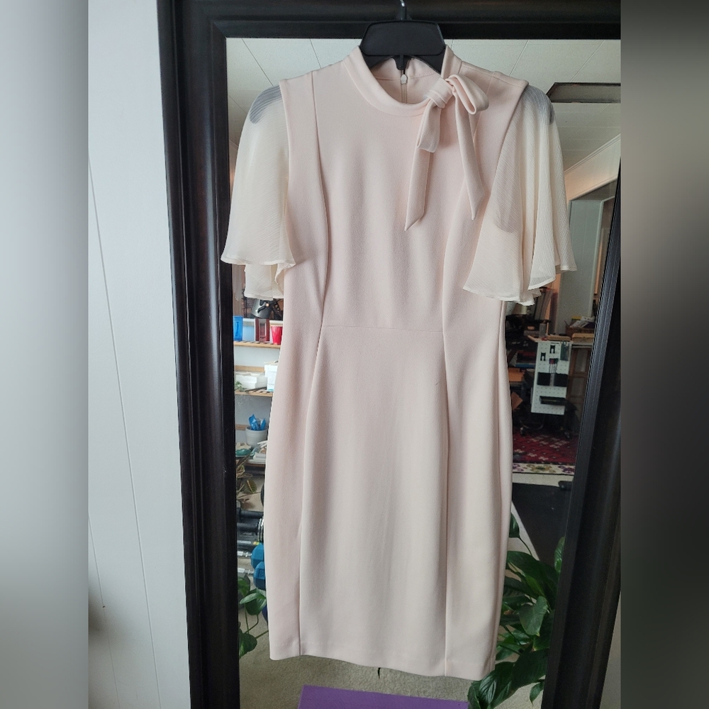 Calvin Klein Pink Sheath Dress with Flutter Sleeves Size 4